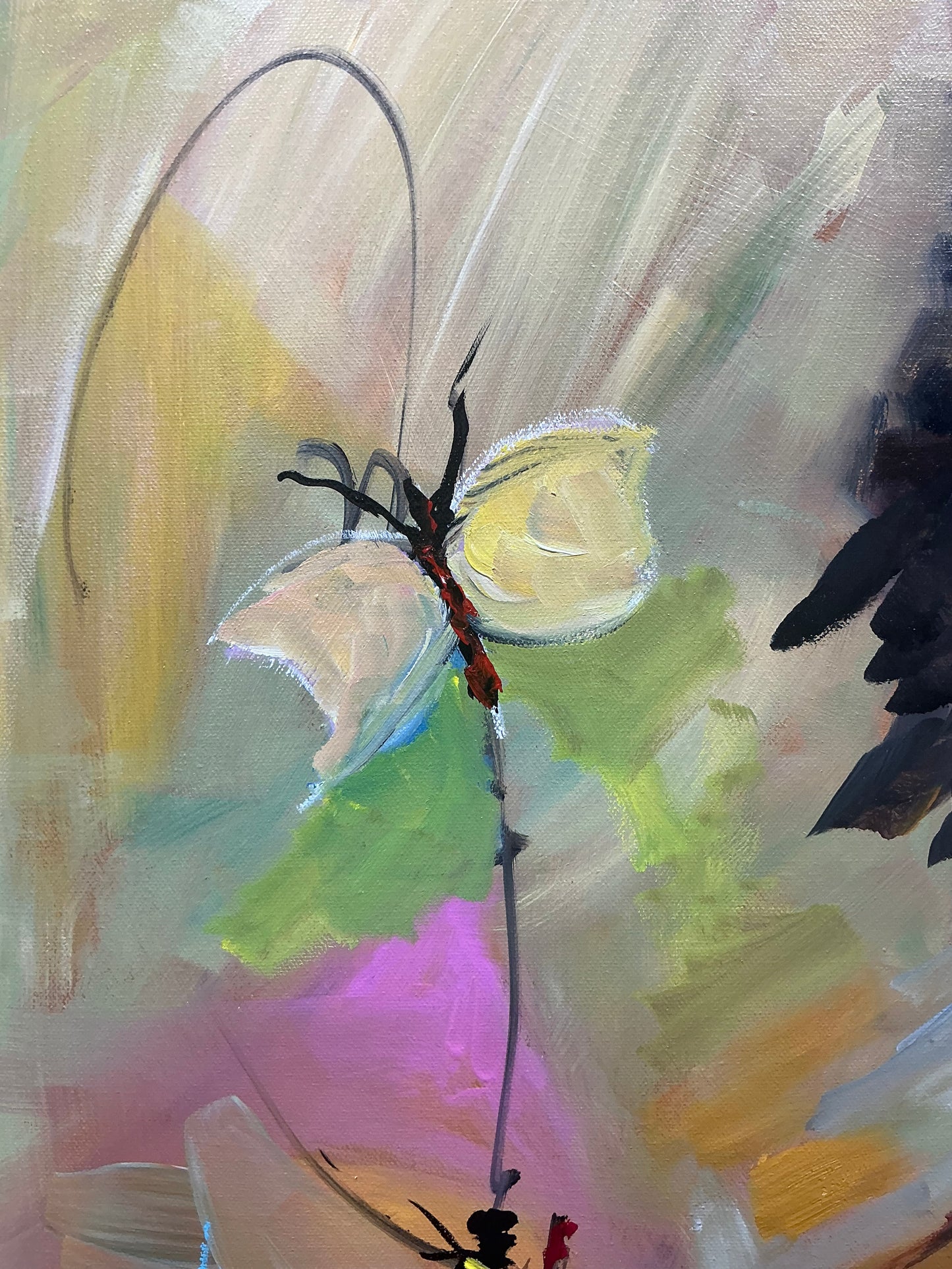 Bella and Her Butterfly